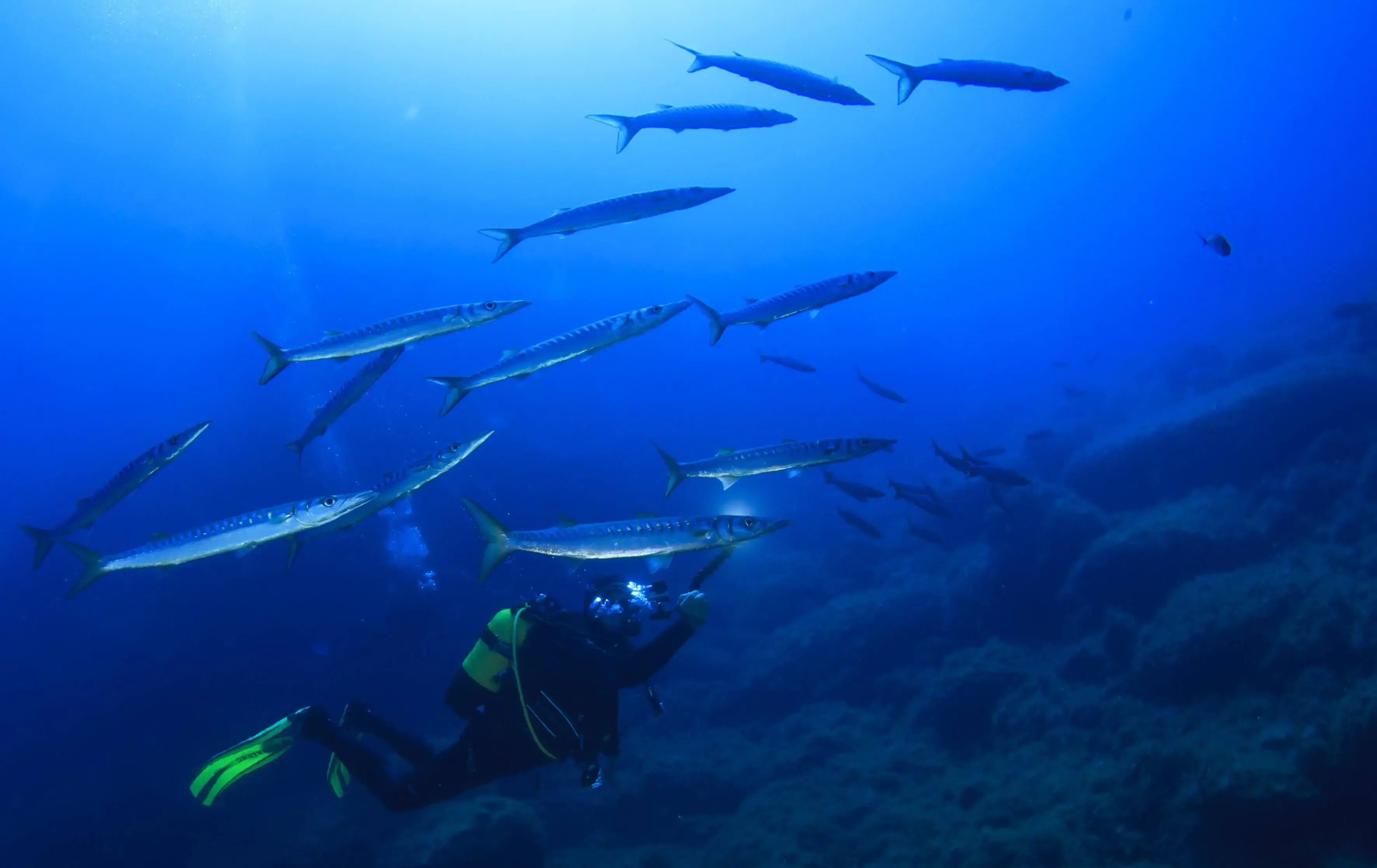 Certified divers Mallorca 1